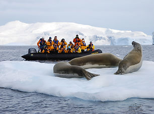 QuarkExp_IslandSky_seals.jpg