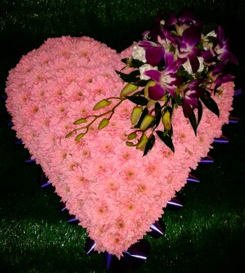 Heart