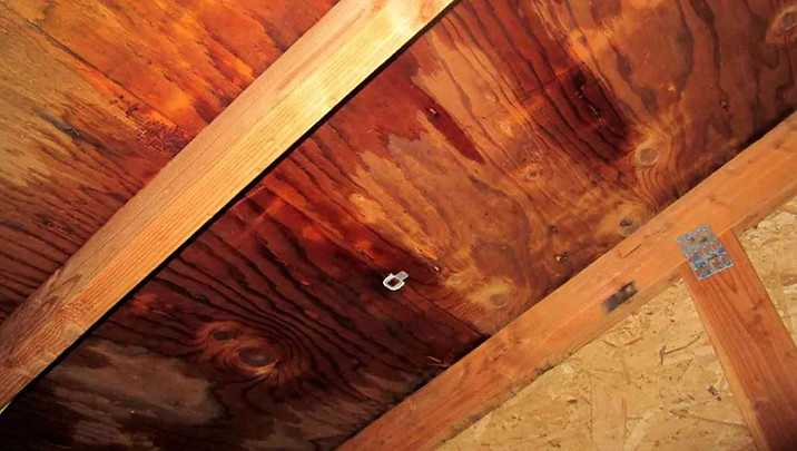 Leak Investigation Attic Roof Leak.jpg