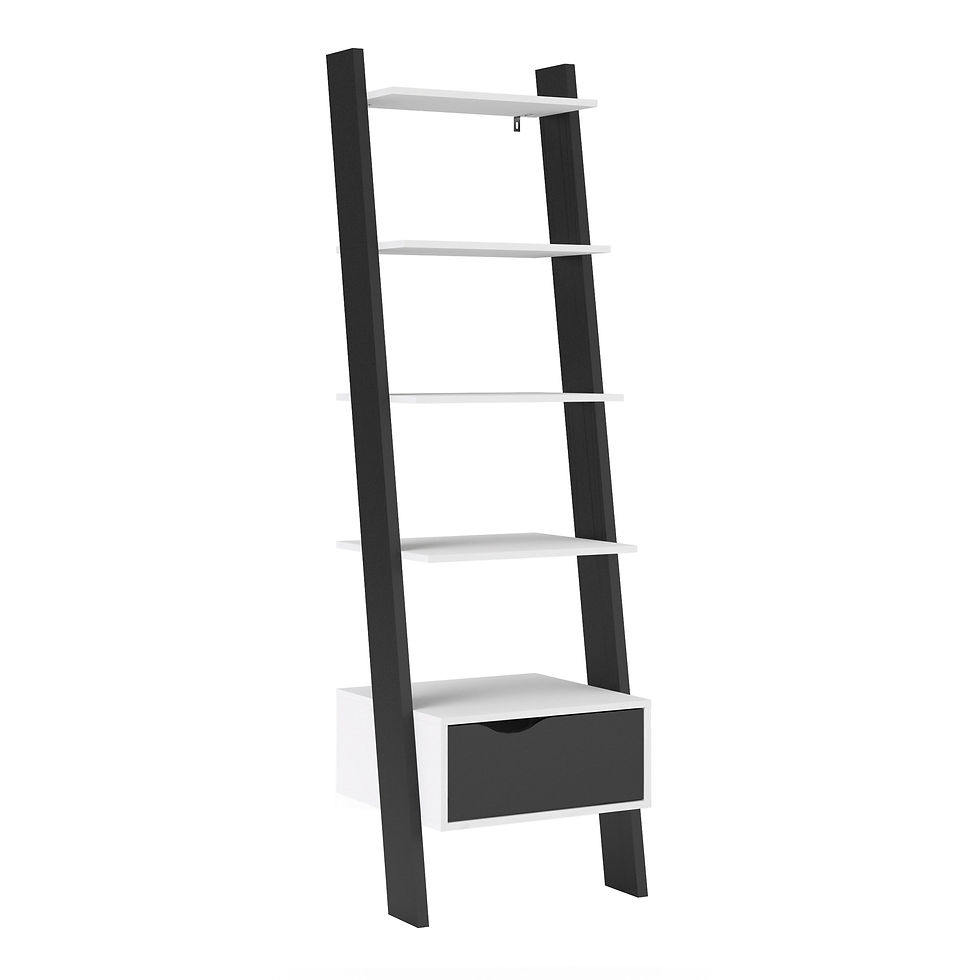 Thumbnail: Oslo Leaning Bookcase in White and Black Matt