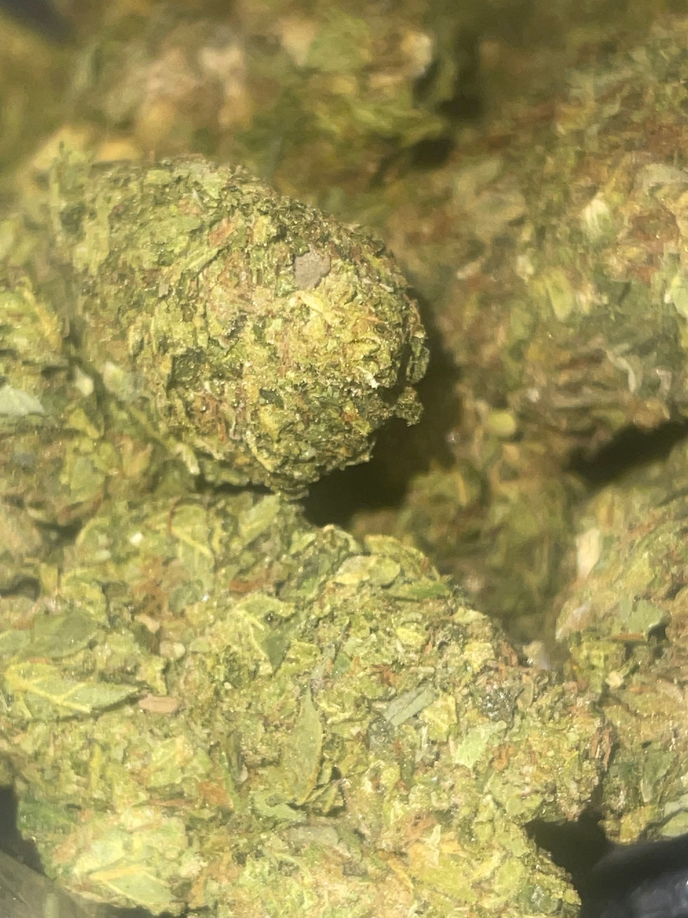 Thumbnail: og kush weed strain zoomed in high thc outdoor weed