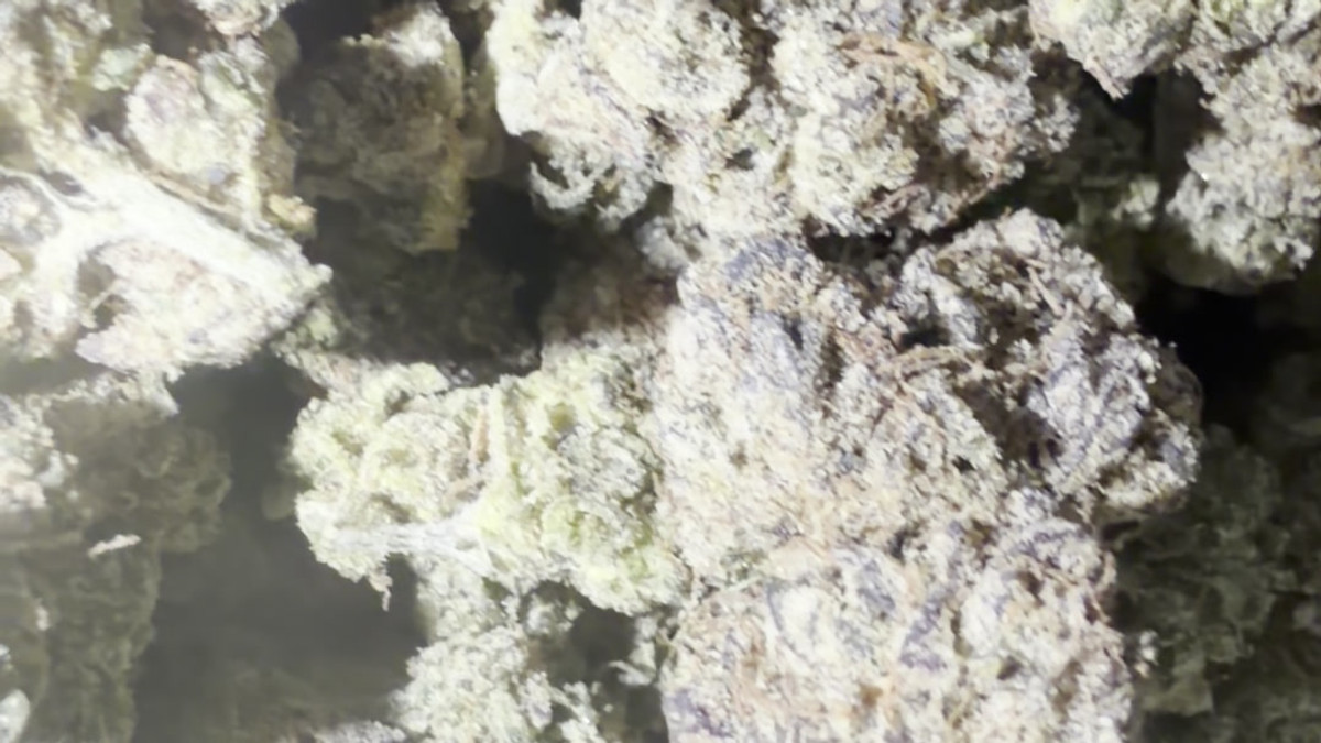 Kushlato flower from the Bud Lords menu