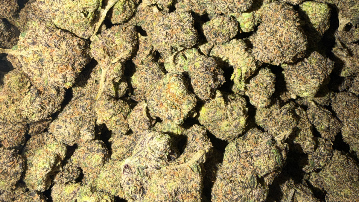 Nueva flor Fire del menú de Bud Lords