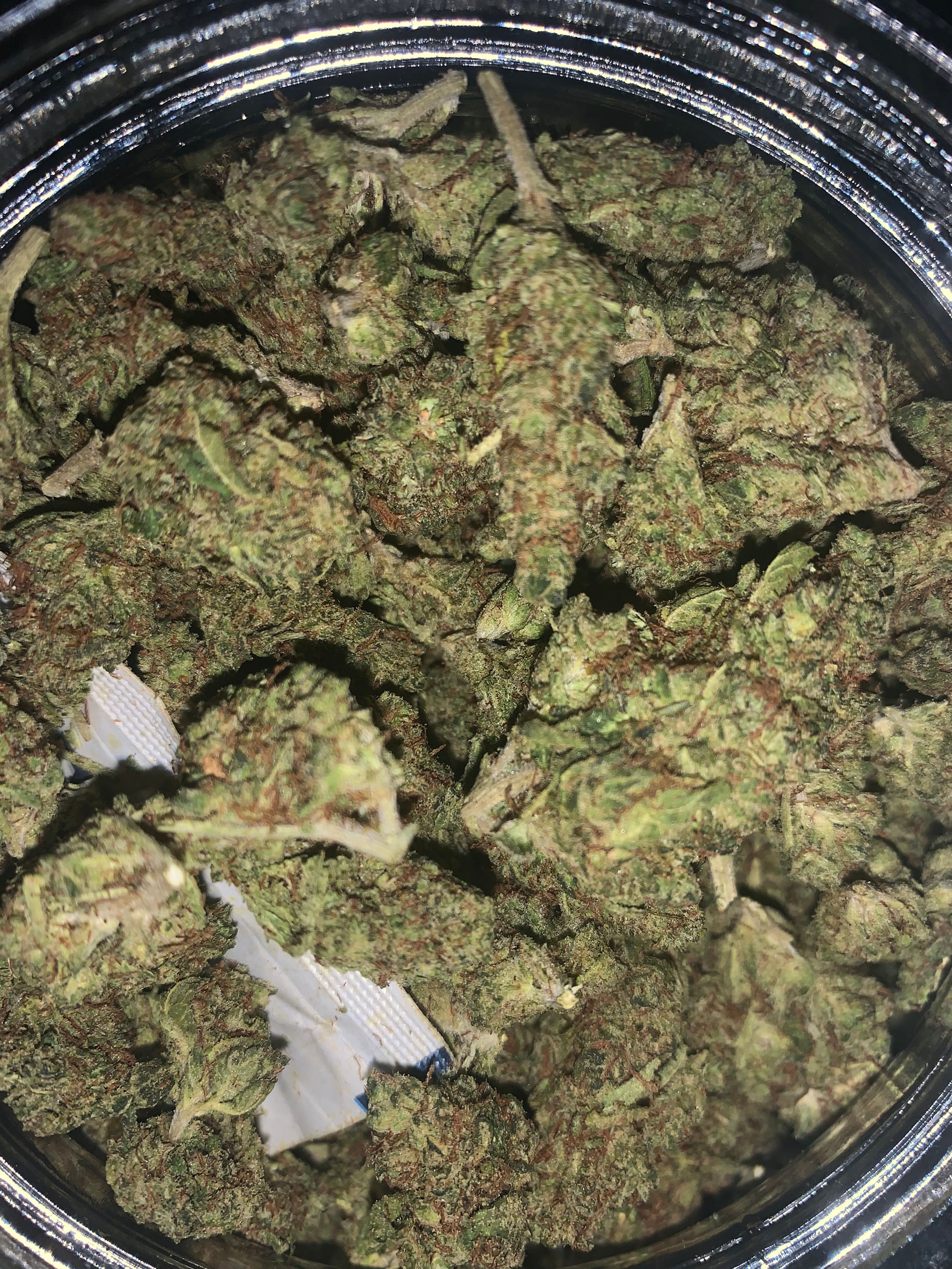 Cheetah Piss Weed Cannabis Strain