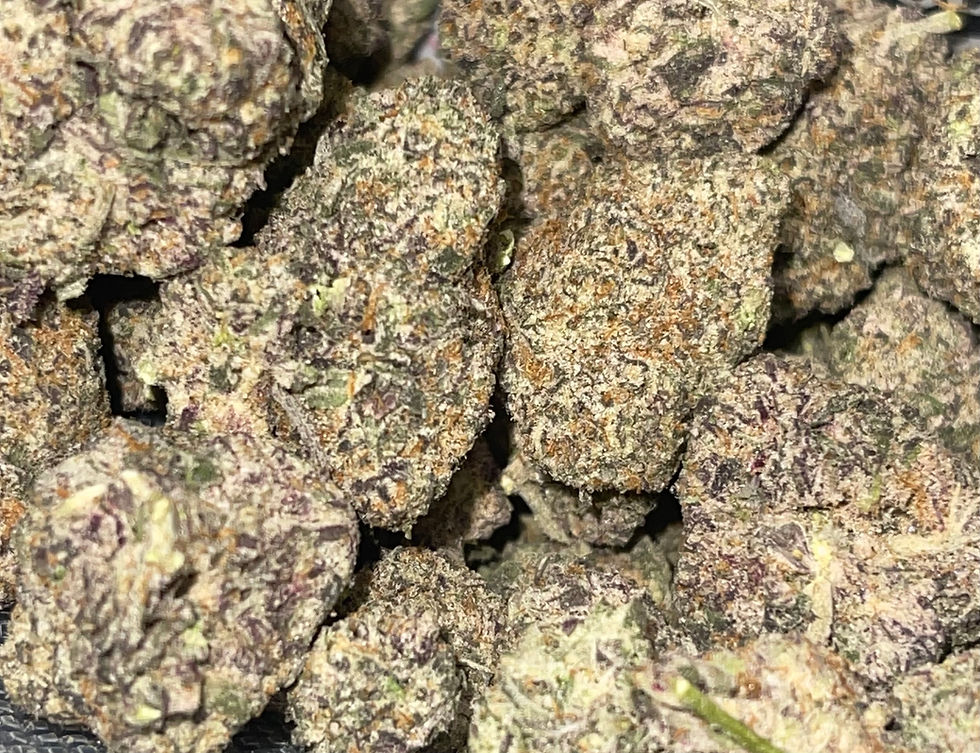 ocean beach x cereal milk weed strain and marijuana information