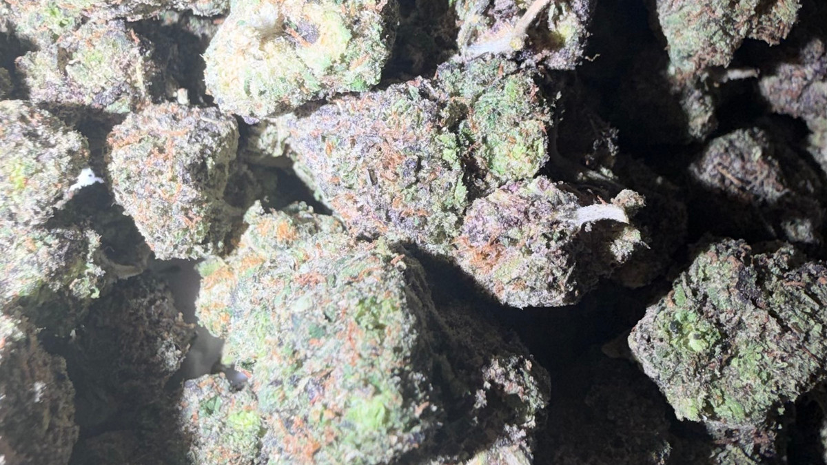 Close view of Mochi Runtz buds showing trichome coverage and color