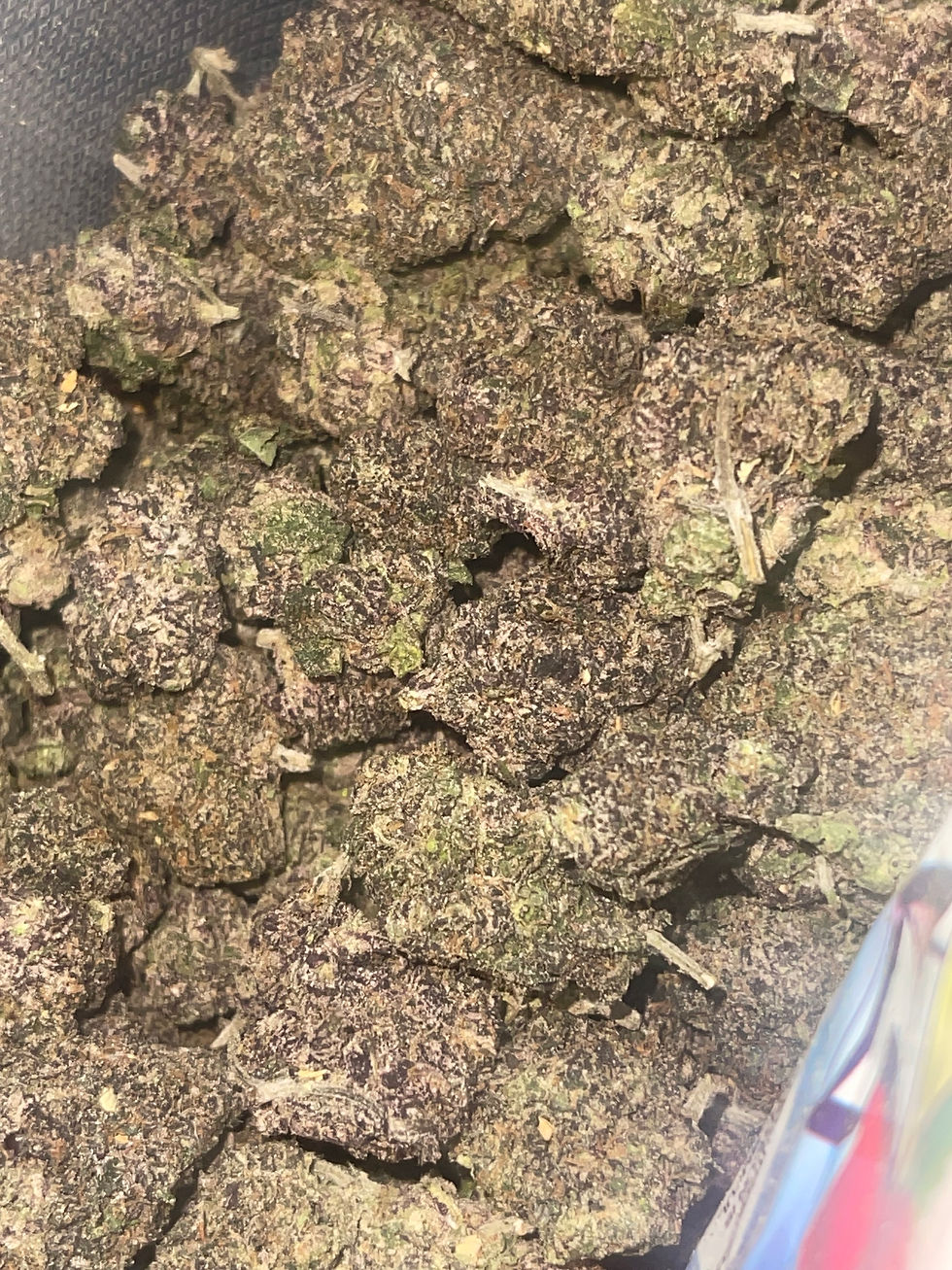 Golden Ticket Runtz weed strain