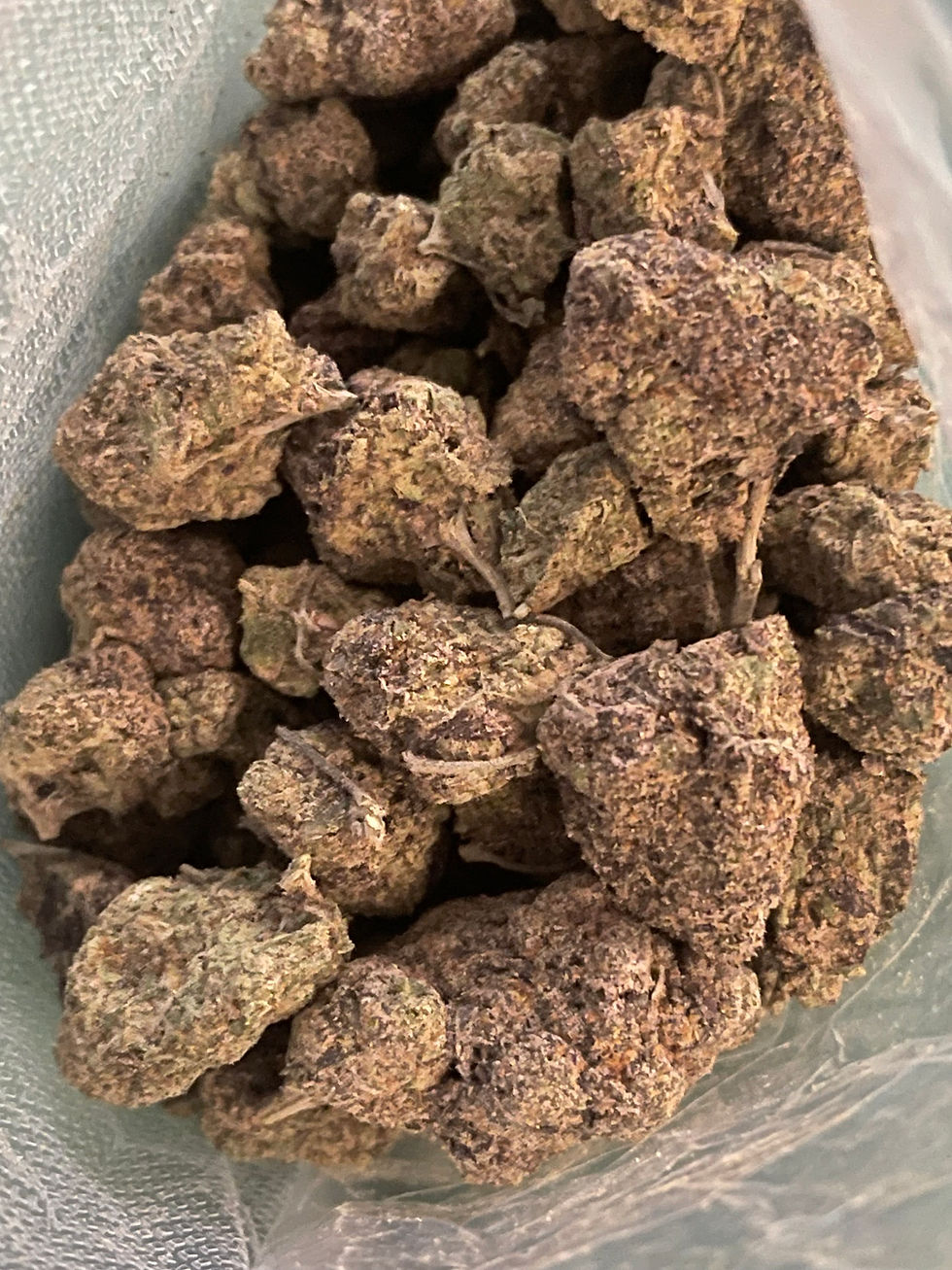 cherry biscotti weed strain
