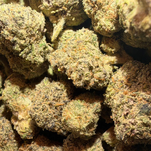 Hella Jelly cannabis flower representing the appearance of Starburst Strain Guide: Sweet Citrus x Bright Effects x Balanced Grow