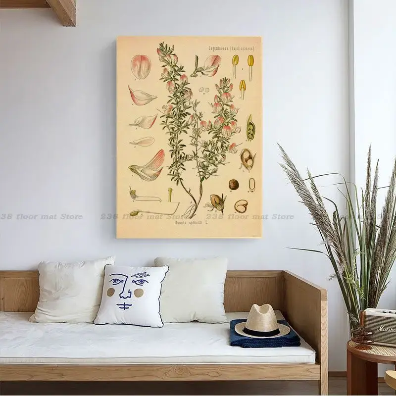 Thumbnail: Vintage Botanical Flower Art Print – Retro Wall Poster for Home & Café Décor