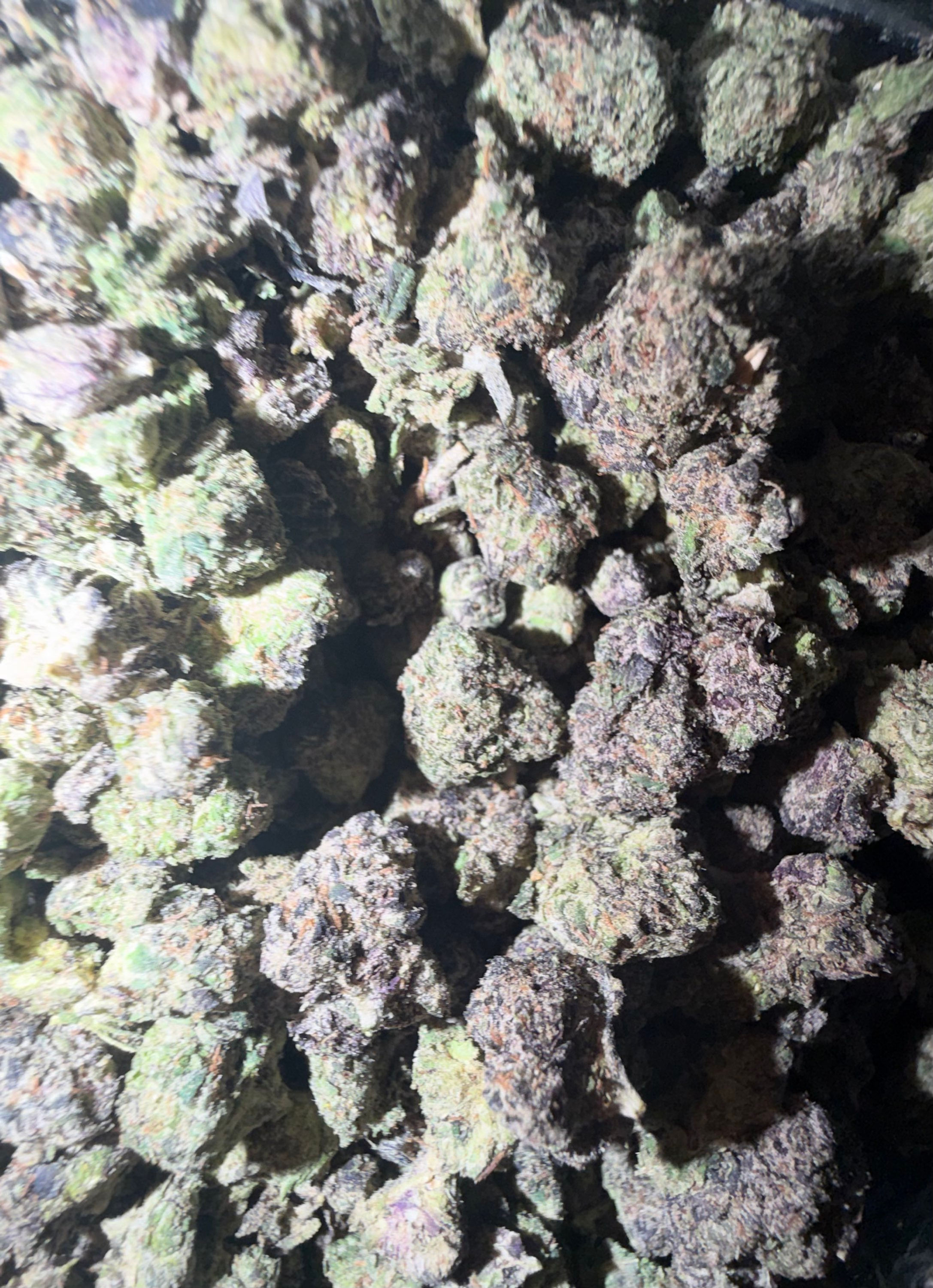 BubblegumZ