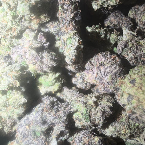Blue Toadz cannabis flower representing the appearance of Georgia Pie
