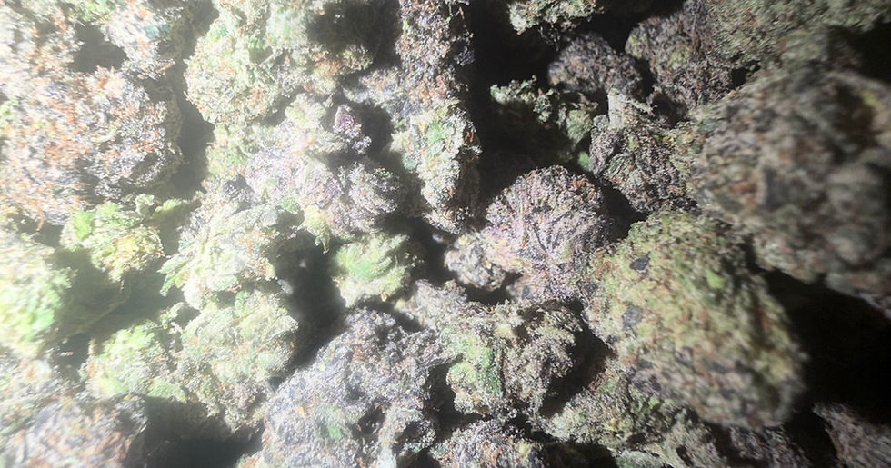 Blue Toadz cannabis flower representing the appearance of Georgia Pie