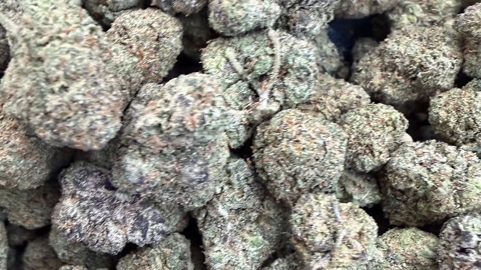 Berry Gelato cannabis strain flower close-up showing dense trichome coverage and purple-berry coloring