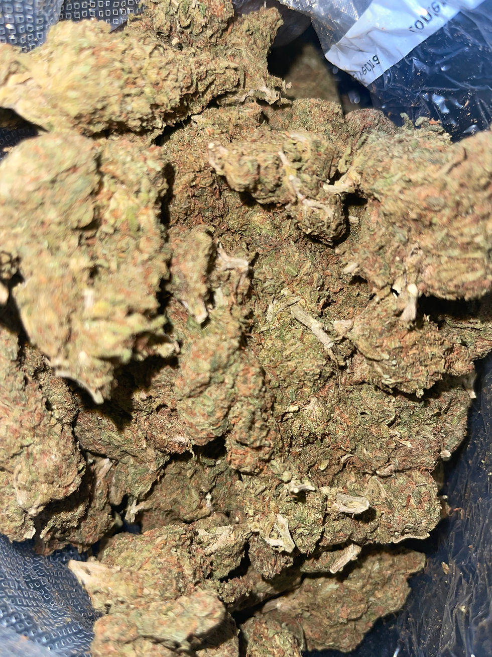 blue dream weed strain