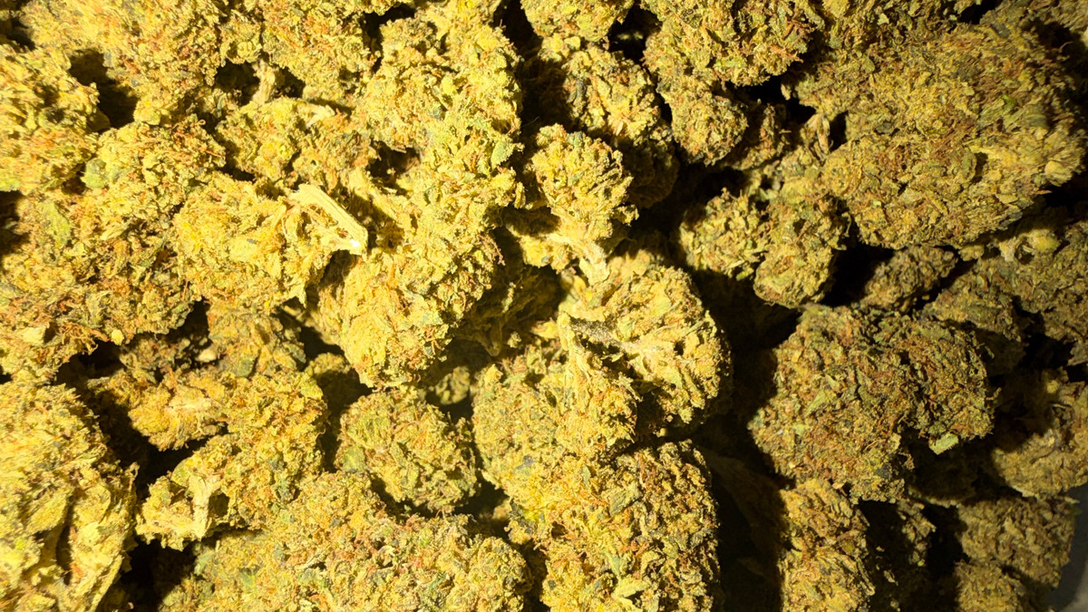Cherry Nova flower from the Bud Lords menu