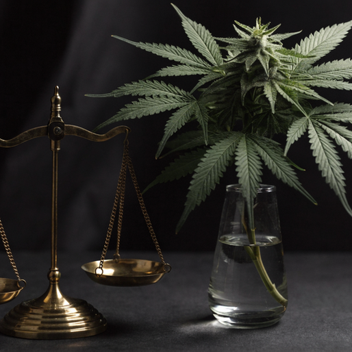 SAM v. DOJ: The D.C. Circuit Case That Could Reverse Federal Cannabis Rescheduling in 2026