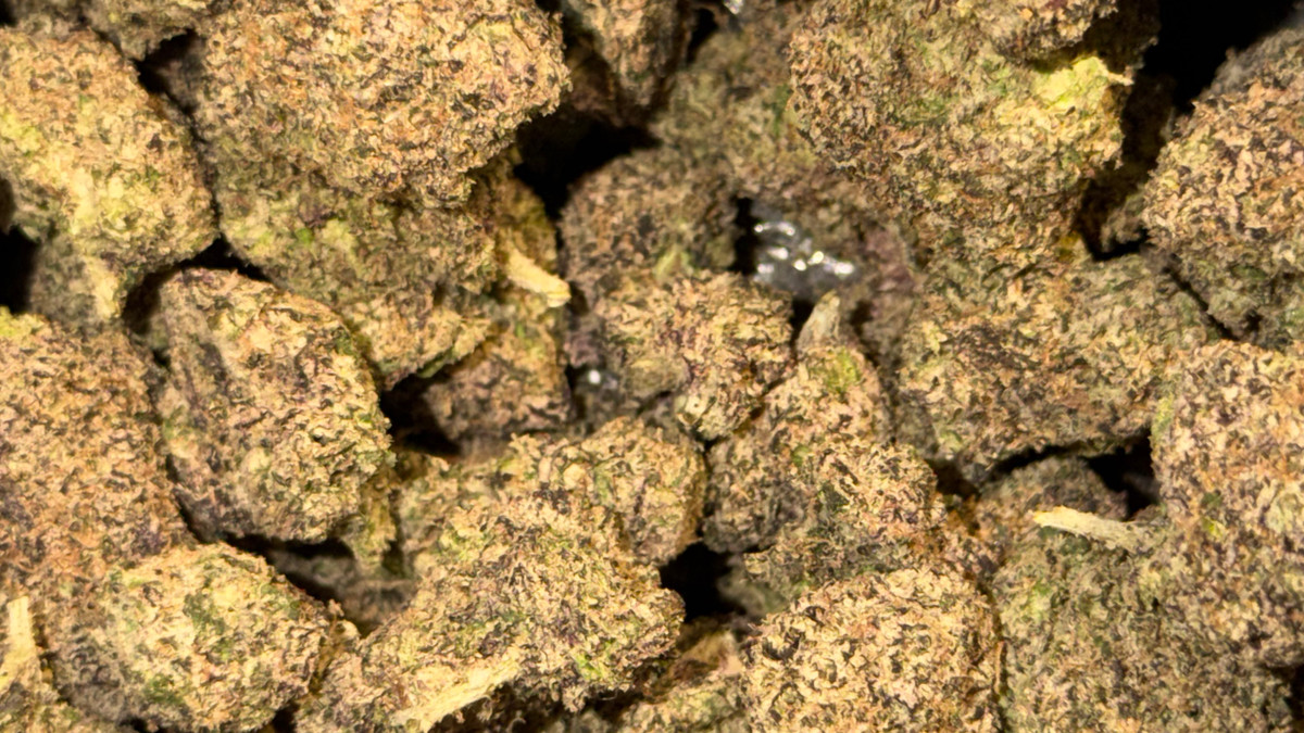 Close view of Space Candy buds showing trichome coverage and color