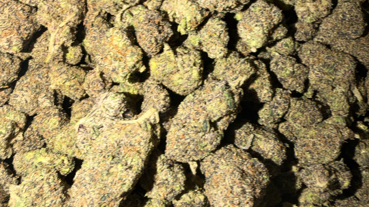 Close view of New Fire buds showing trichome coverage and color