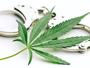 Atlantic City Official Charged in Cannabis Corruption Case