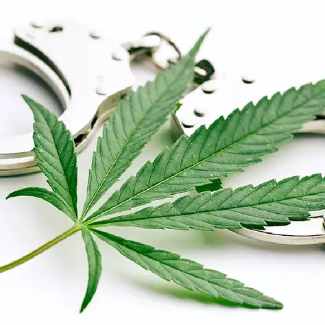 Atlantic City Official Charged in Cannabis Corruption Case