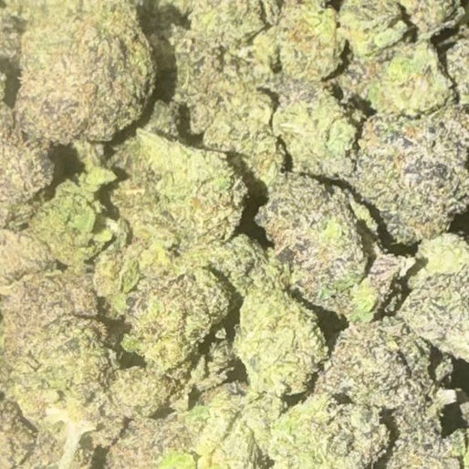 Blue Toadz cannabis flower representing the appearance of Laffy Taffy Strain Guide: Sweet Fruit Candy x Balanced Euphoria x Easy Grow