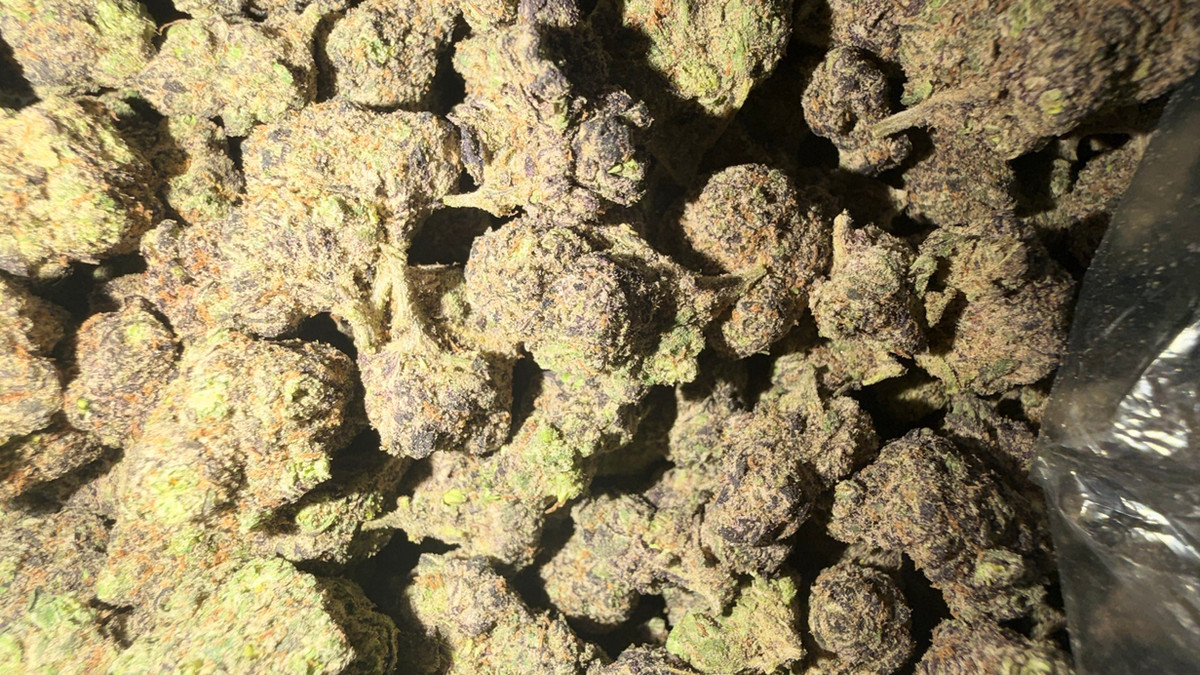 Close view of New Fire buds showing trichome coverage and color
