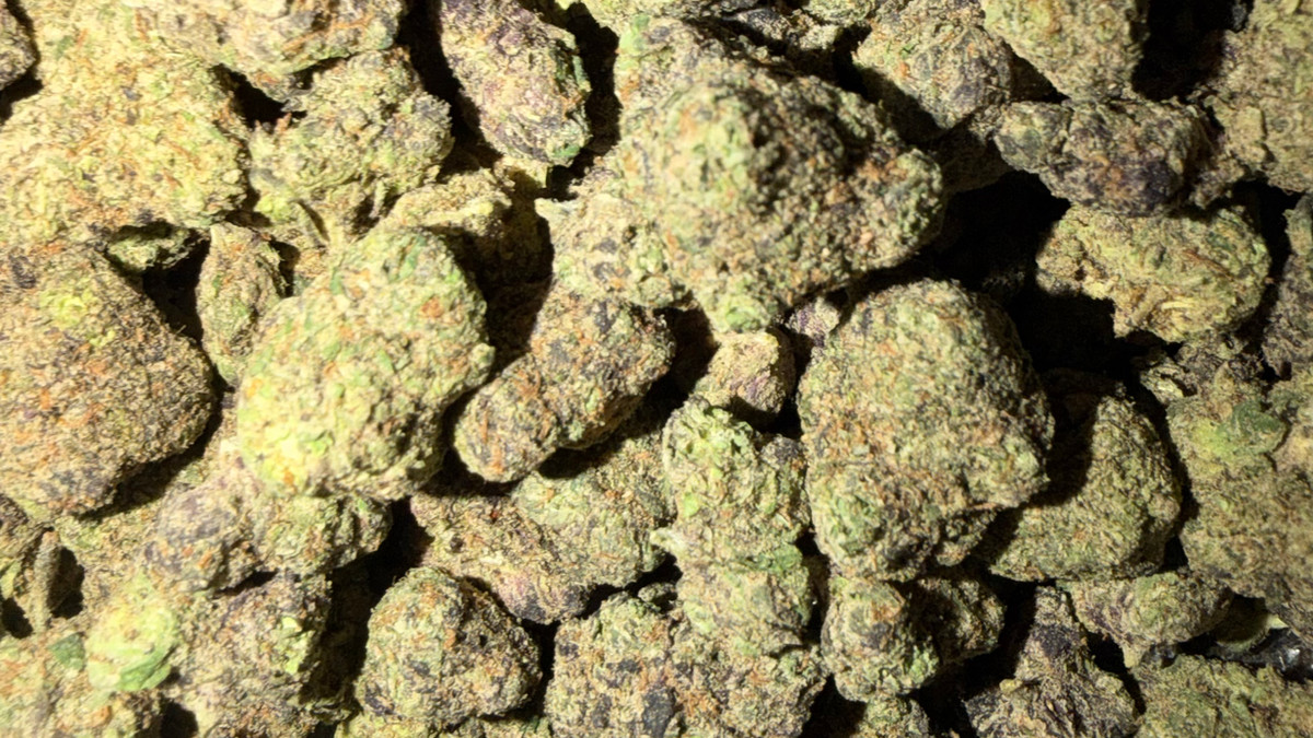 Rainbow Toads flower from the Bud Lords menu