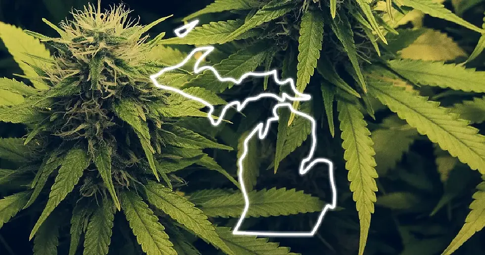 Michigan Revokes 20 Med Grow Licenses, $2M Fine Imposed