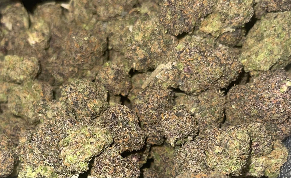 astro hippie weed strain