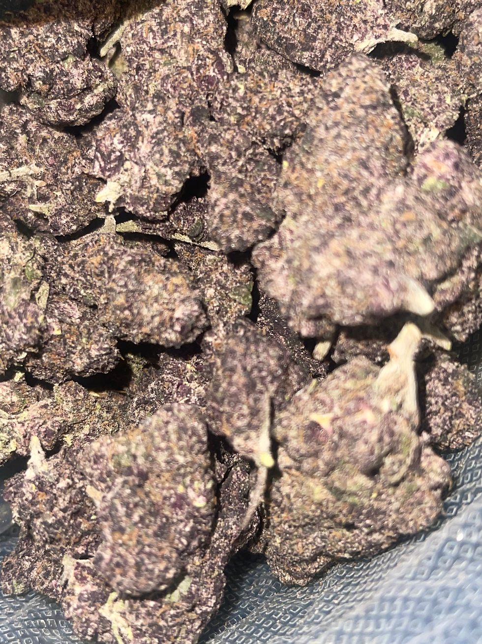 rainbow rocks weed strain and weed delivery washington dc