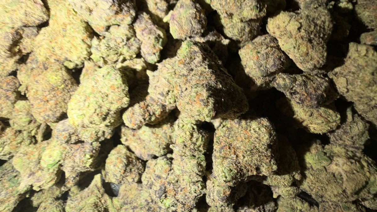 Rainbow Toads flower from the Bud Lords menu