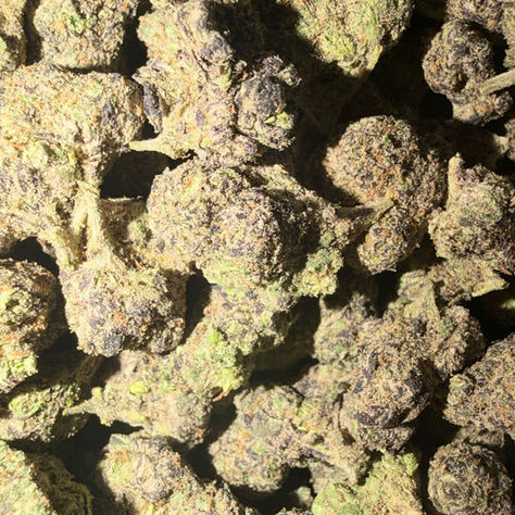 New Fire cannabis flower representing the appearance of Candy Sherbet Strain Guide: Sweet Flavor x Balanced Effects x Colorful Grow