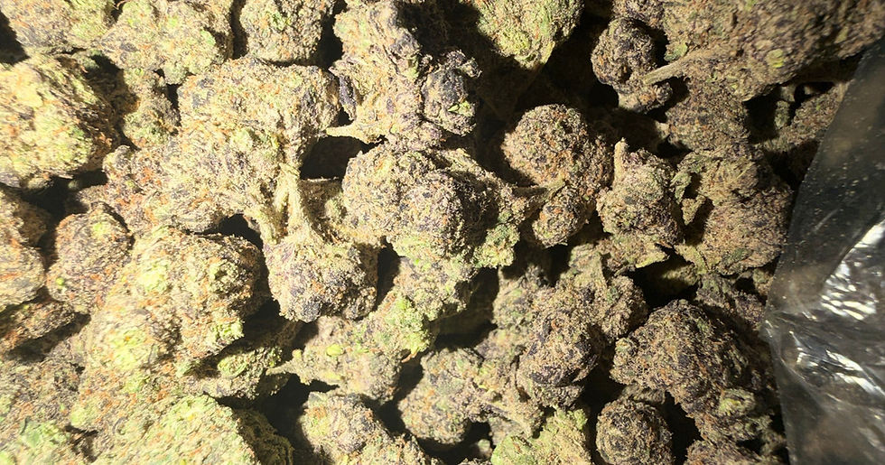New Fire cannabis flower representing the appearance of Candy Sherbet Strain Guide: Sweet Flavor x Balanced Effects x Colorful Grow