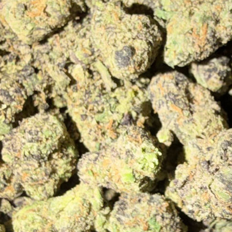 Rainbow Toads cannabis flower representing the appearance of Zkittlez