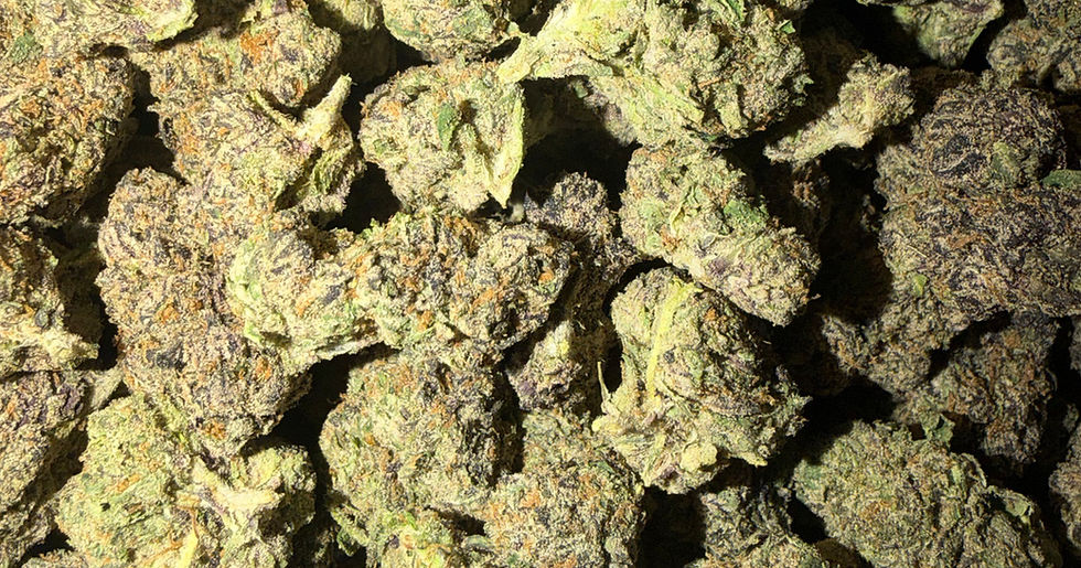 Space Donuts cannabis flower representing the appearance of Rainbow Belts
