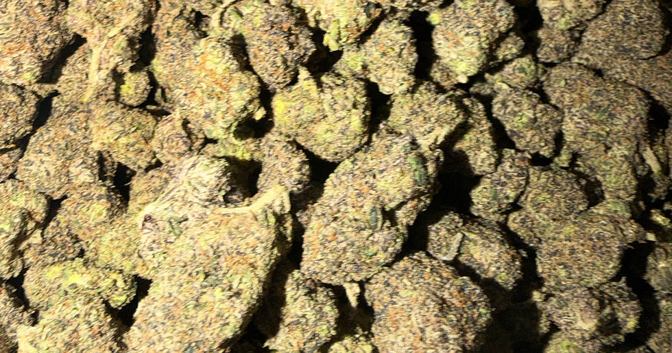 New Fire cannabis flower representing the appearance of Skittles Strain Guide: Candy Flavor x Balanced Effects x Careful Growing
