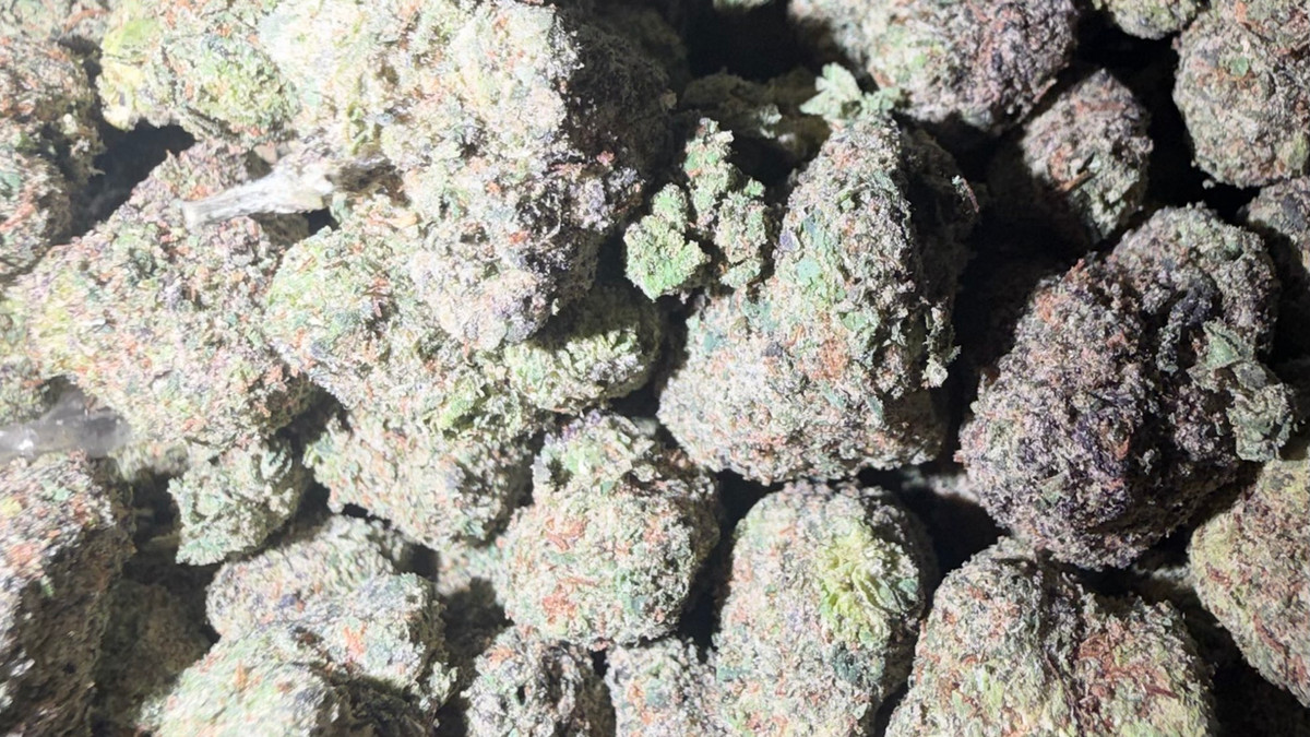 Close view of Cereal Crunch buds showing trichome coverage and color