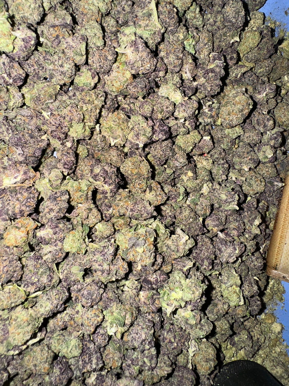 baby buds smalls mixed exotic weed strain