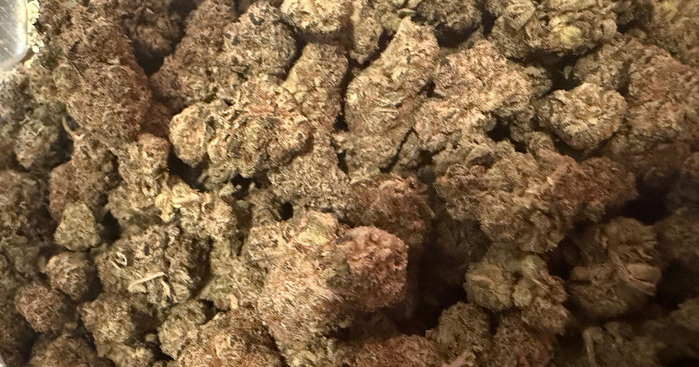 Panda Milk cannabis flower representing the appearance of Cereal Milk