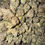 Thumbnail: sugar cookies weed strain and cannabis delivery in washington dc baltimore maryland and northern virginia