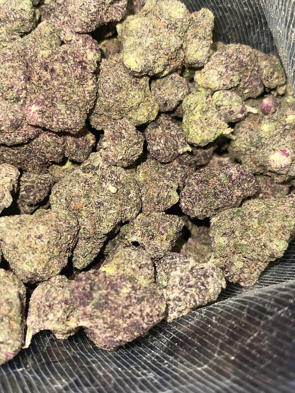 No Shaggz Weed Strain Information and deliveries in Washington dc, Maryland, and Virgina