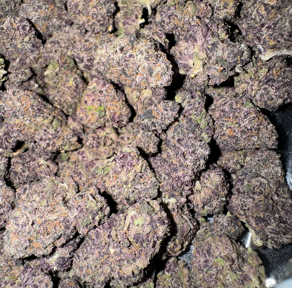 Thumbnail: white raspberry gelato weed strain