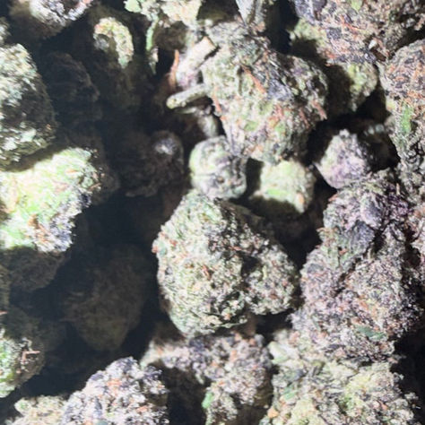 Bubblegumz cannabis flower representing the appearance of Jealousy
