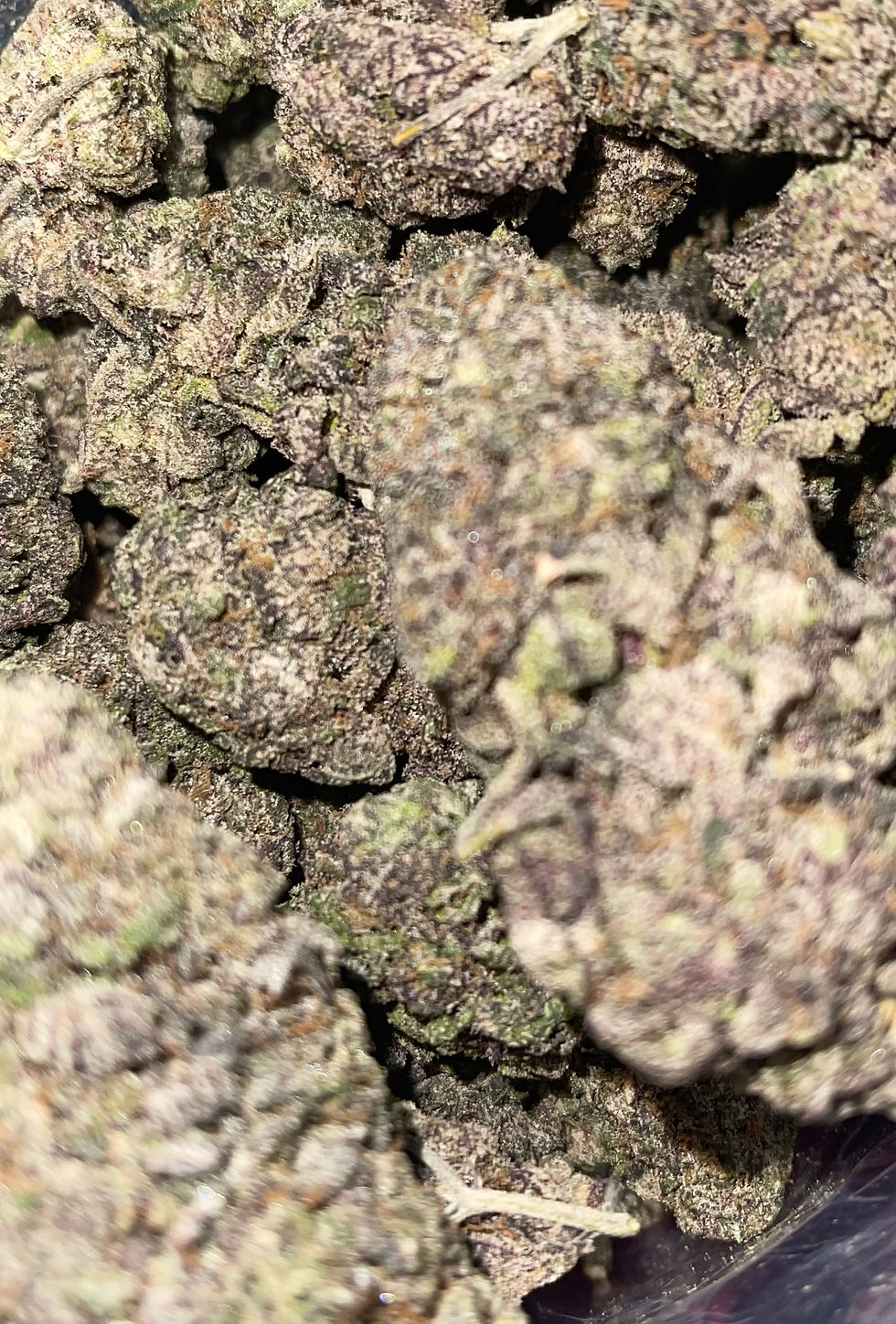 zaza killa gumbo weed strain