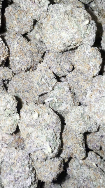 Miniatura: biscotti breath weed strain and cannabis delivery in washington dc maryland and northern virginia