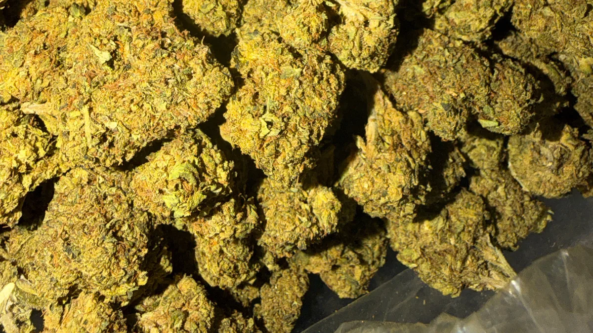 Primer plano de una flor de cannabis Cherry Nova, fotografiada por Bud Lords