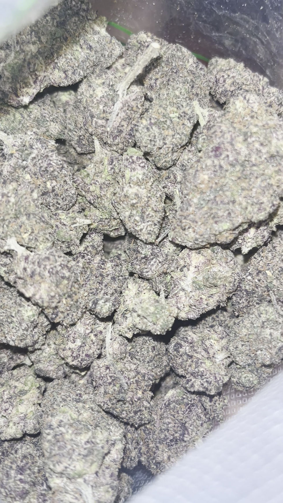 strawberry milkshake weed strain