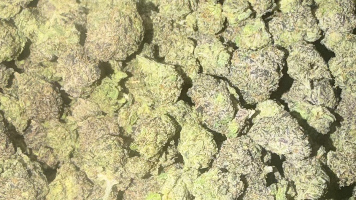 Blue Toadz flower from the Bud Lords menu