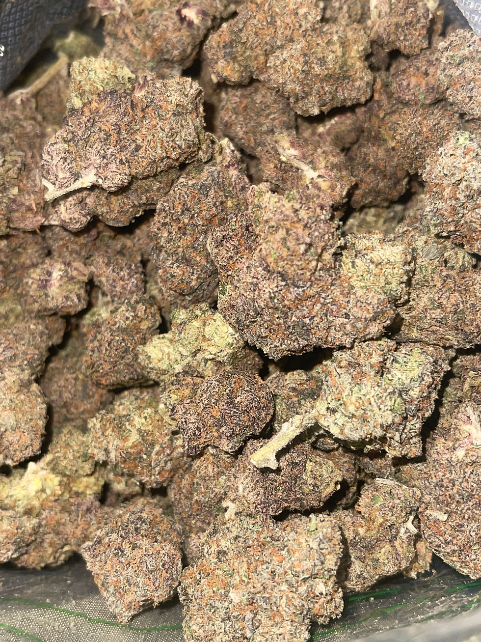 grape bubblegum weed strain picture and information